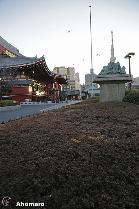 写真00