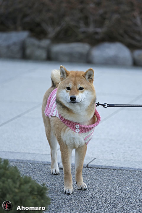 写真00