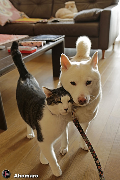 写真00