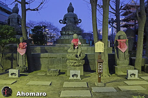 写真00