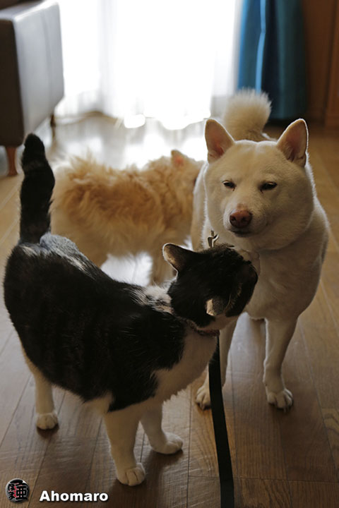 写真00