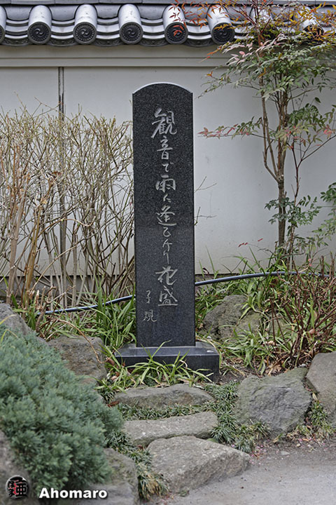 ʐ^00