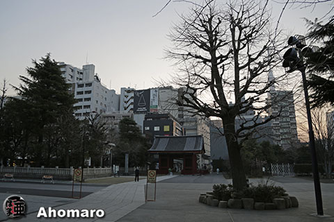 写真00