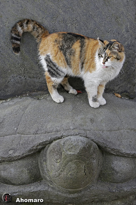 写真00