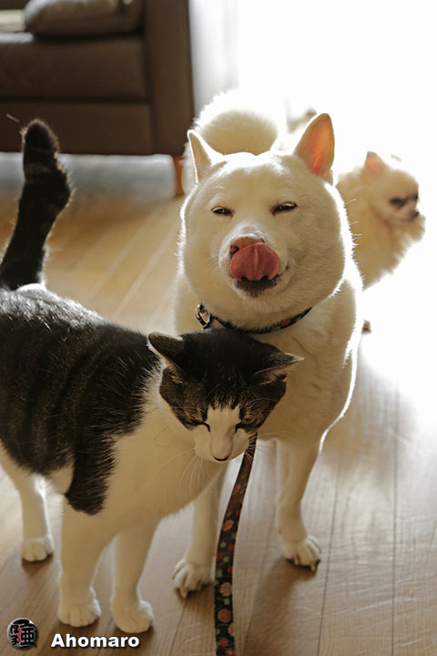 写真00