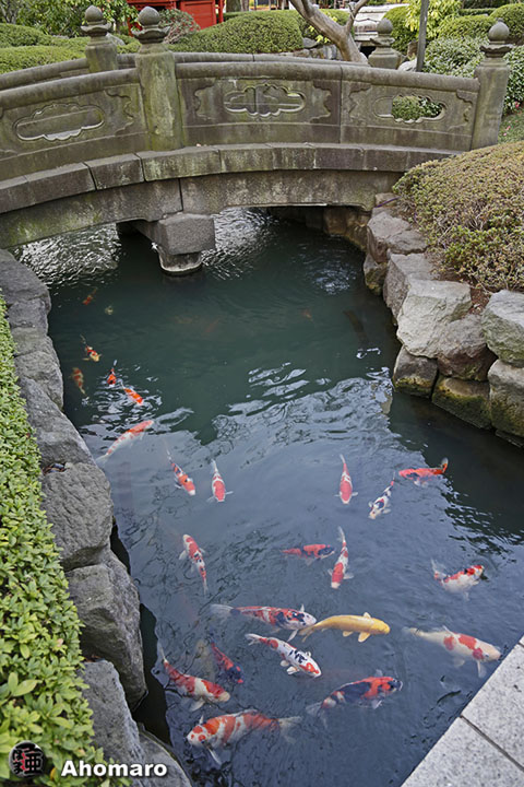 写真00