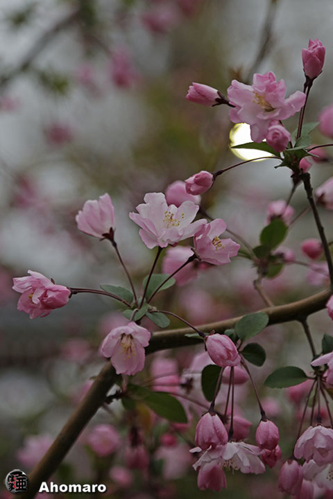 写真00