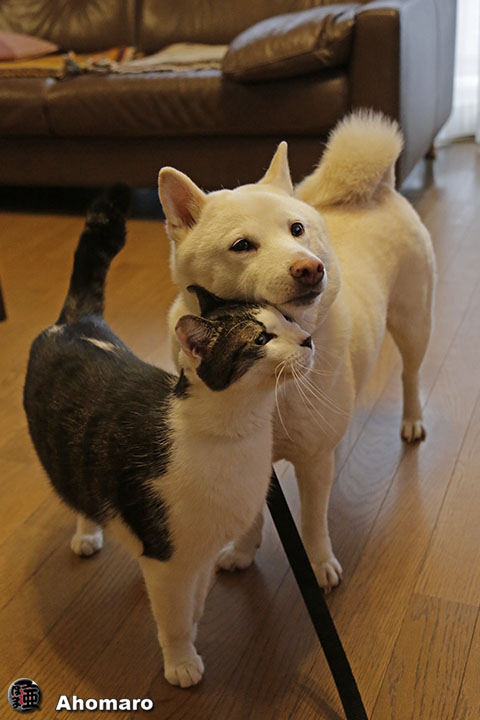 写真00