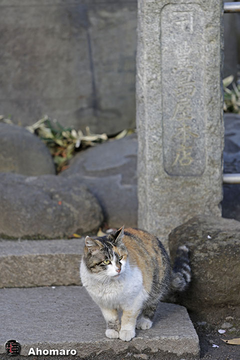 写真00