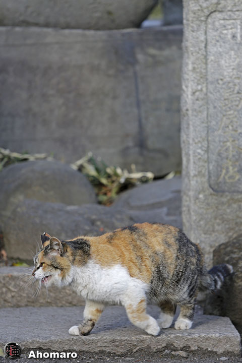 写真00