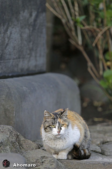 写真00