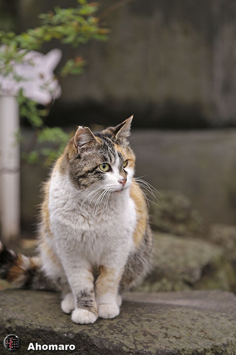 写真00