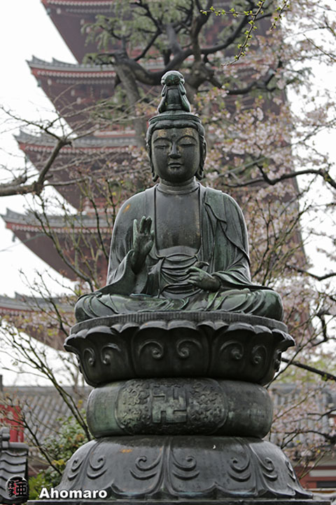 写真00