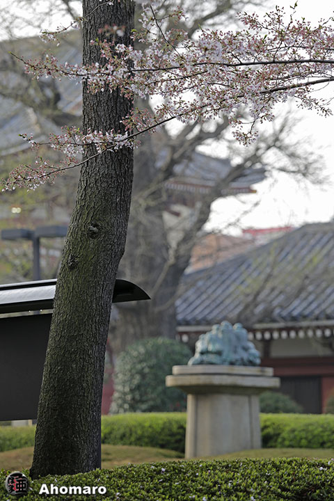 写真00