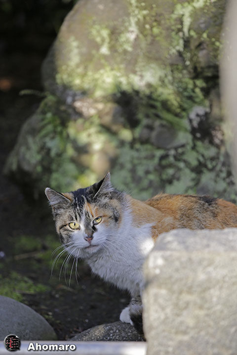 写真00