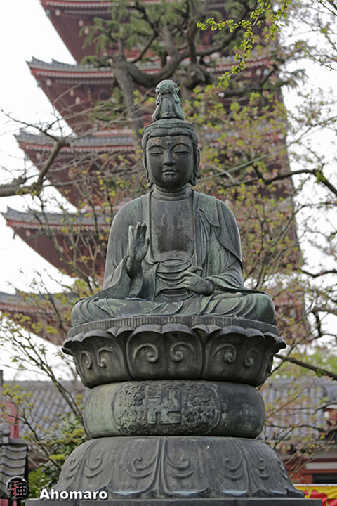 写真00