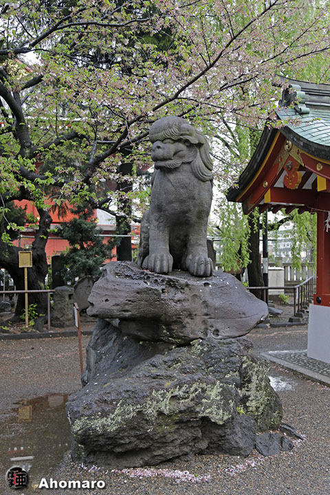 写真00