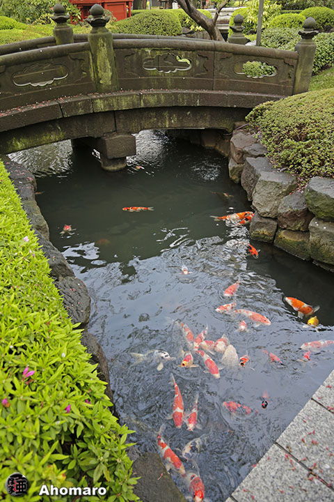 写真00