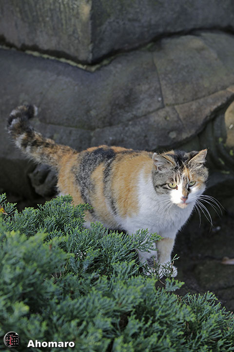 写真00