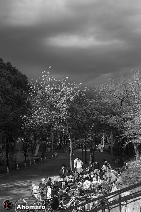 写真00