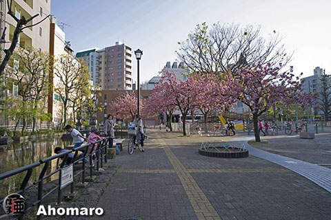 写真00