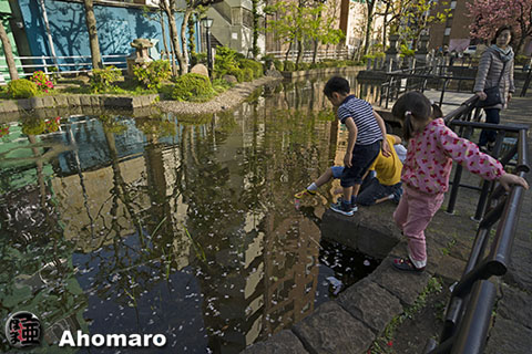 写真00