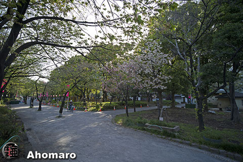 写真00