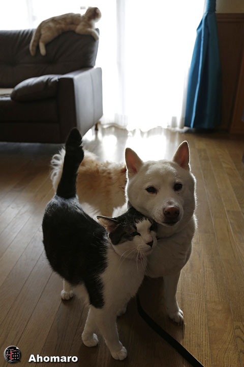 写真00