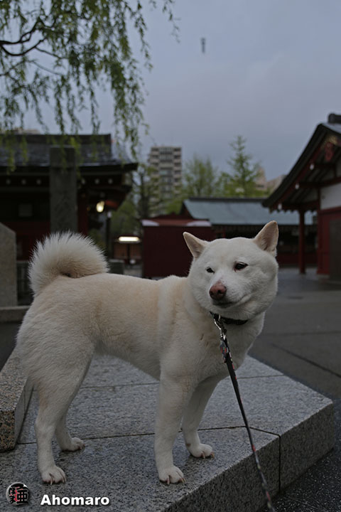 写真00