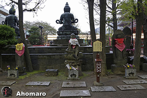 写真00