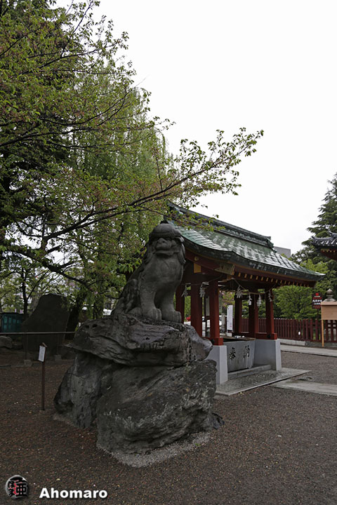 写真00