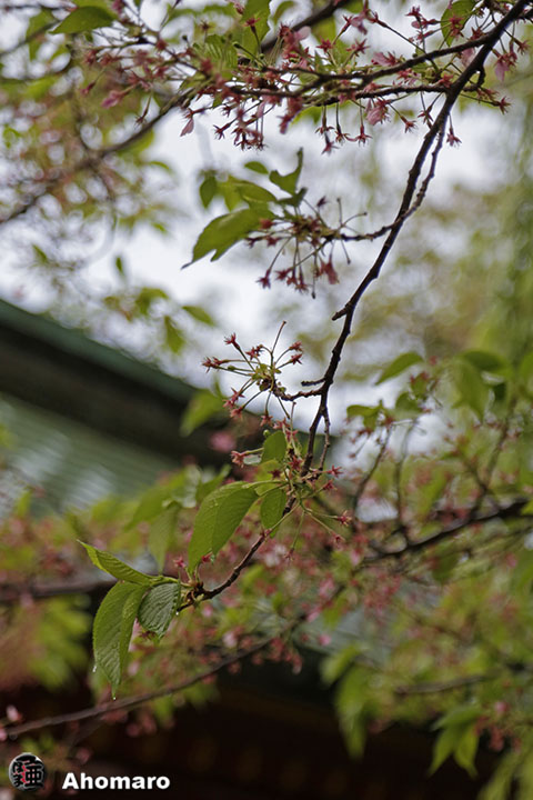 写真00