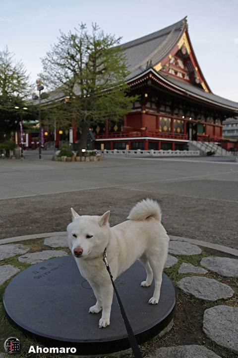 写真00