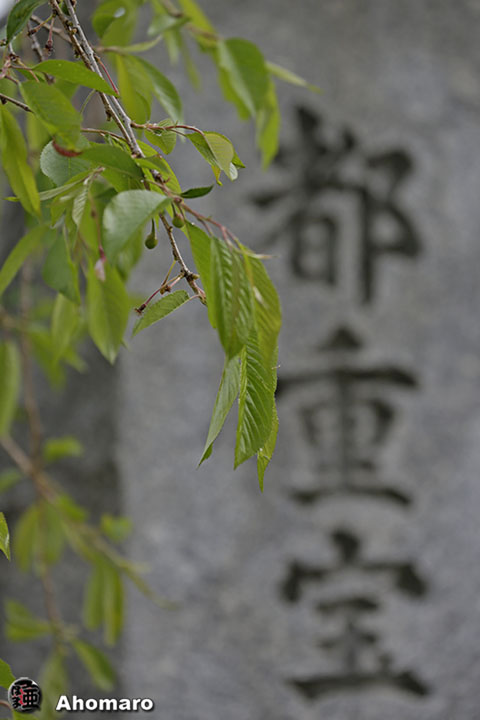 写真00