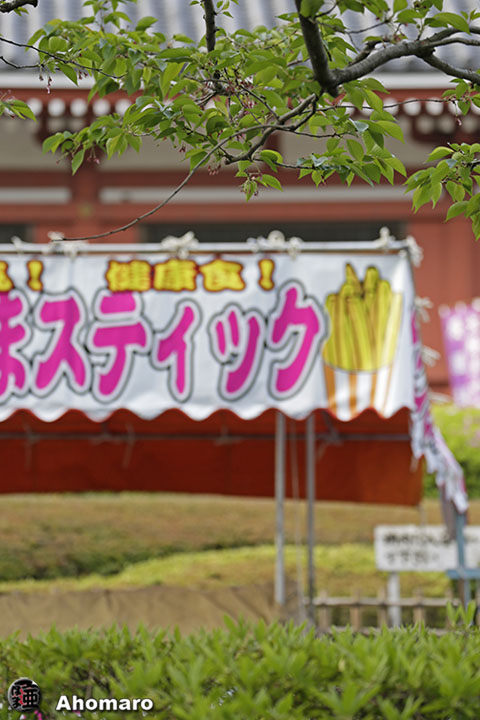 ʐ^00