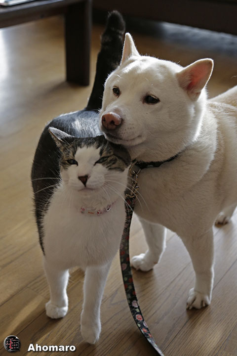 写真00
