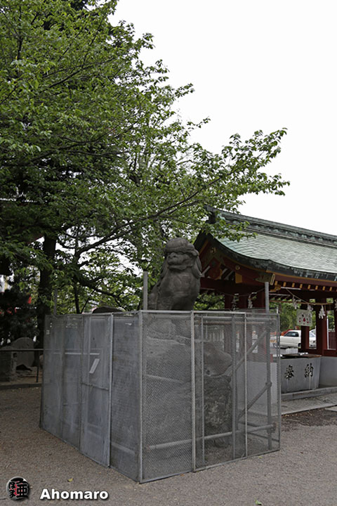 写真00