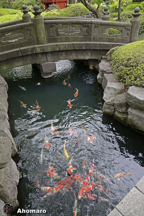 写真00