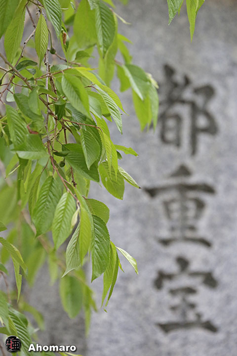 写真00