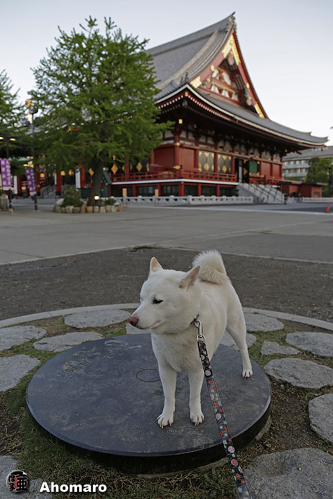 写真00