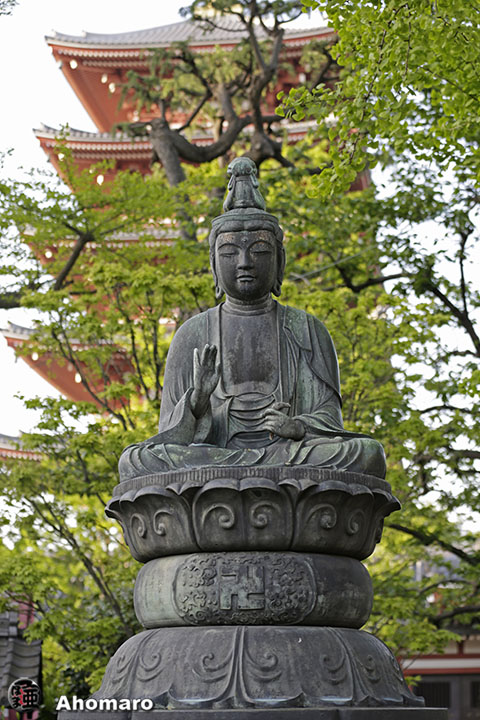 写真00