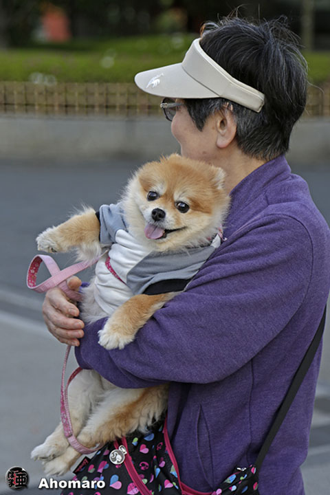 写真00