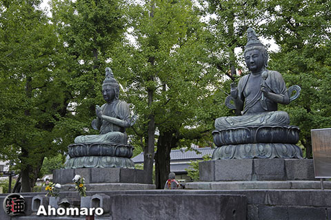 写真00