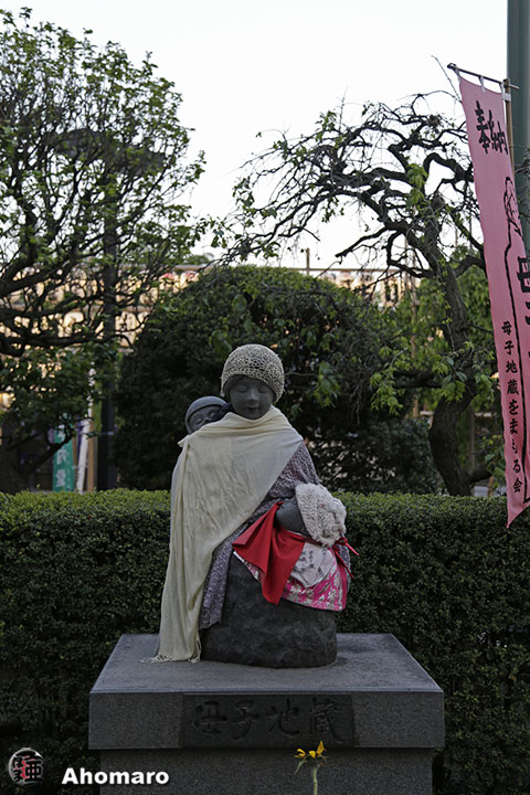 写真00