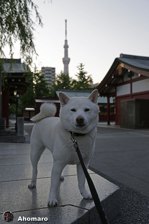 写真00