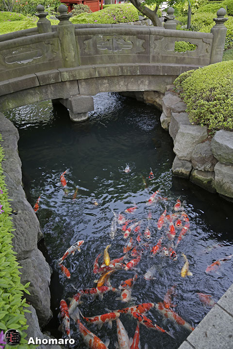 写真00