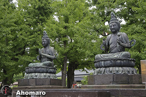 写真00