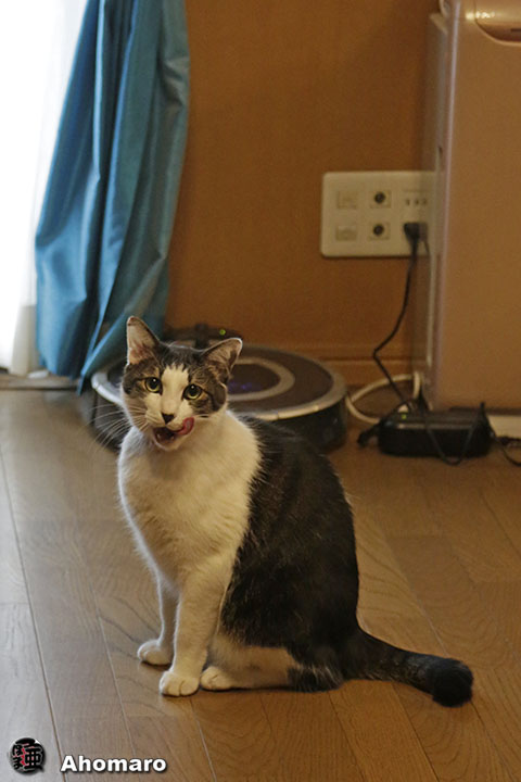 写真00
