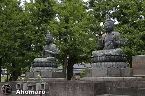 写真00