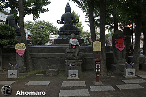 写真00